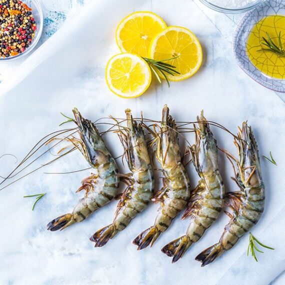 Tiger Prawn Medium