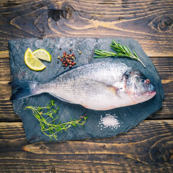 Sea Bream