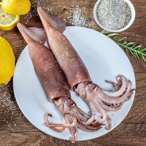 Squid, Koonthal